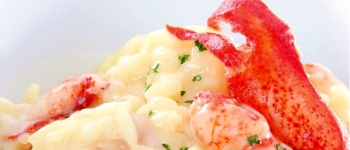 Lobster Risotto Scented with White Chocolate and Saffron