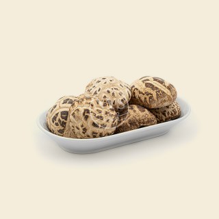 dried-flower-mushroom-white-41